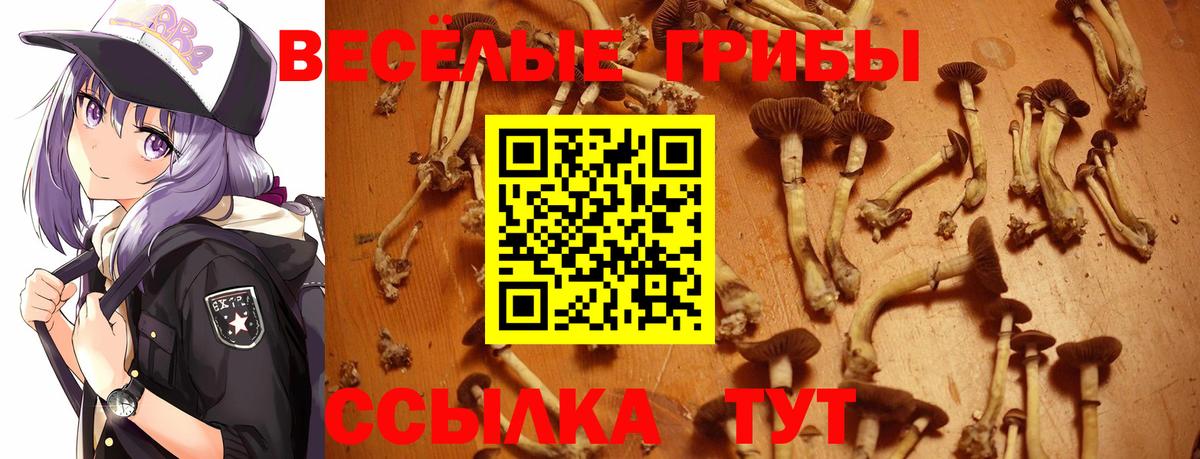 Галлюциногенные грибы мицелий Долгопрудный
